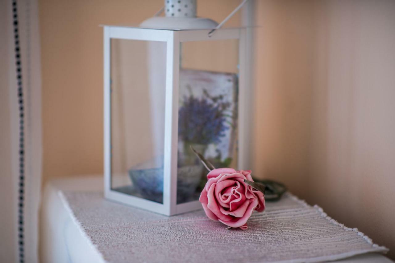 Apartment Rose مالينسكا المظهر الخارجي الصورة